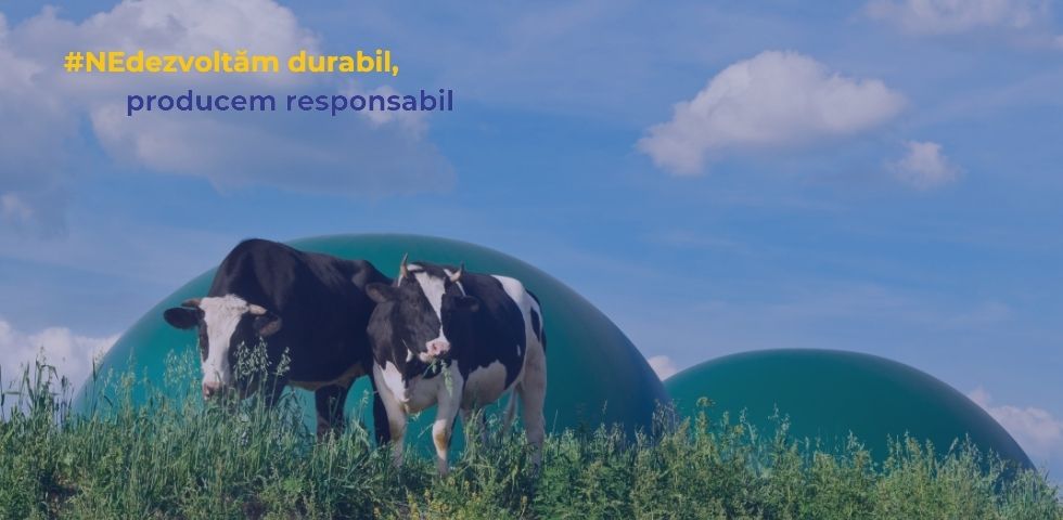 imag 4 Energia agricultura si industria lemnului – sau asigurarea circularitatii produselor prin crearea de noi lanturi valorice